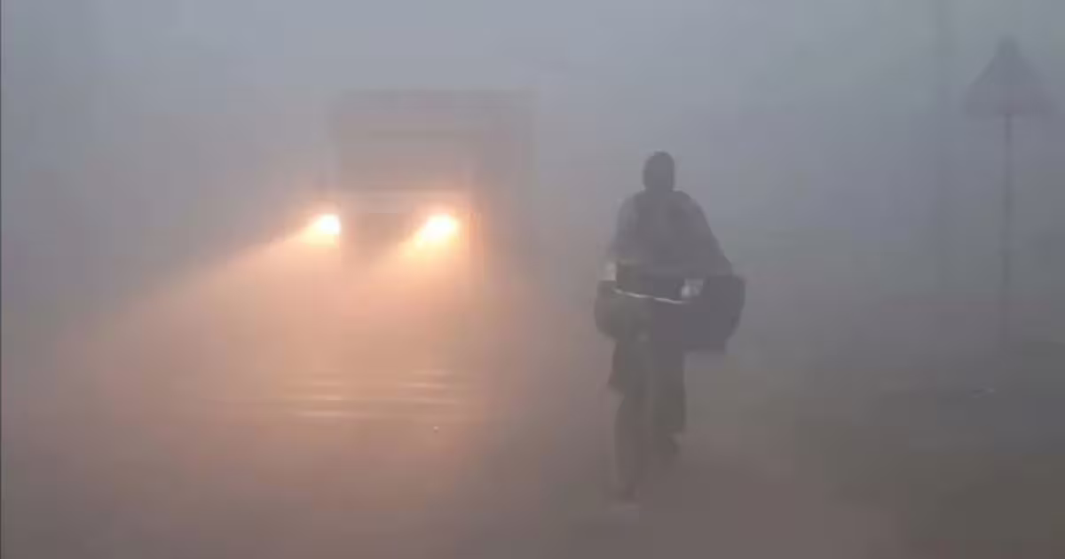 झारखंड में अभी और बढ़ेगी ठंड, आठ जिलों में घने कोहरे का अलर्ट, अगले तीन दिन बेहद अहम